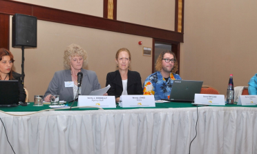 Participants at the thematic session in Malta