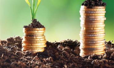 image of coins and plants to represent Financing of Special Needs Education report