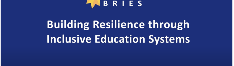 Still from the BRIES video showing the activity logo and subtitles which read 'The Building Resilience through Inclusive Education Systems, or BRIES, activity aimed to map out the lessons learnt from the pandemic'.