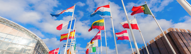 European flags against a blue sky