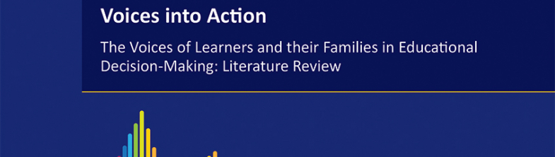 Cover of the Voices into Action Literature Review